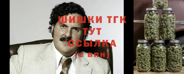 a pvp Горняк