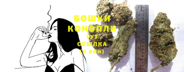a pvp Горняк