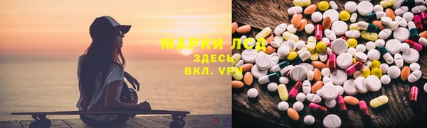 индика Горно-Алтайск