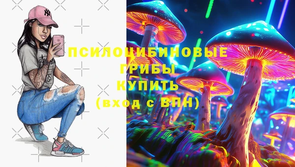 a pvp Горняк