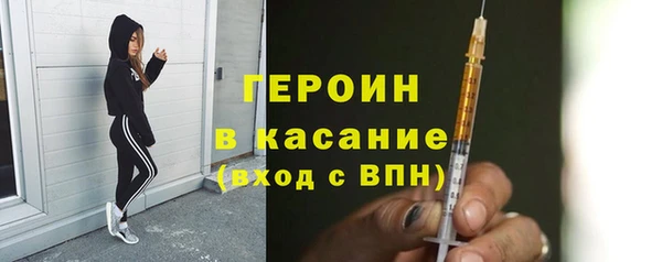 индика Горно-Алтайск