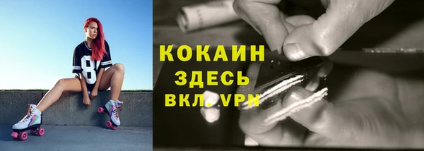 индика Горно-Алтайск