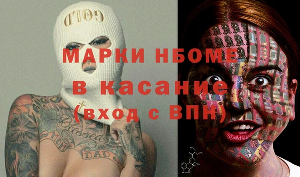 индика Горно-Алтайск