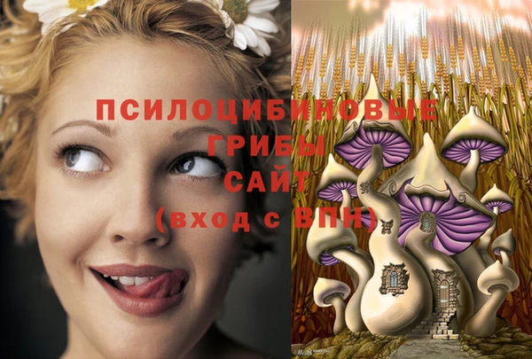 COCAINE Горнозаводск