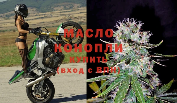 индика Горно-Алтайск
