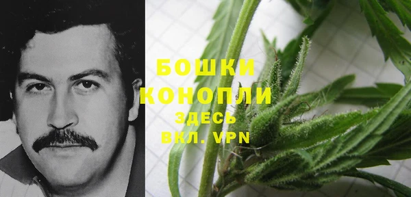 индика Горно-Алтайск